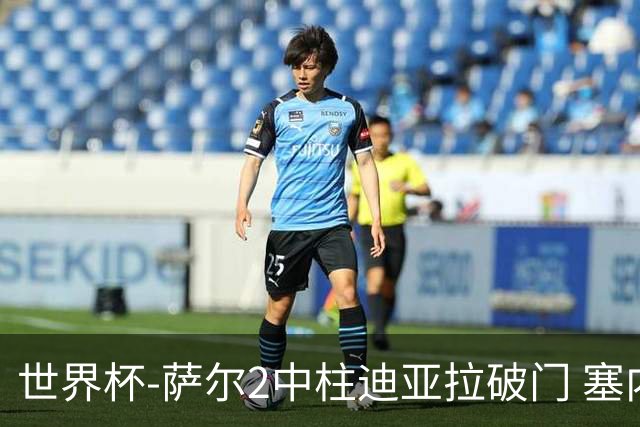 世界杯-萨尔2中柱迪亚拉破门 塞内加尔半场暂1-0比利时