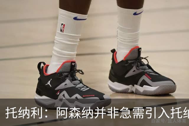 托纳利：阿森纳并非急需引入托纳利，不应花1亿英镑买他