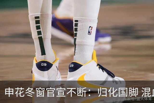 申花冬窗官宣不断：归化国脚 混血前锋 教练组有新人