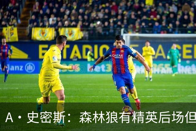 A·史密斯：森林狼有精英后场但体型变小 难应对雷霆马刺火箭掘金